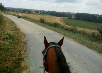 Paardrijden met Elza