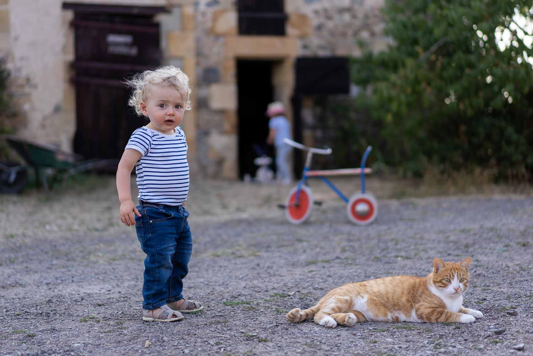 Kinderparadijs, peuter en kat, Brénazet, Allier, Auvergne
